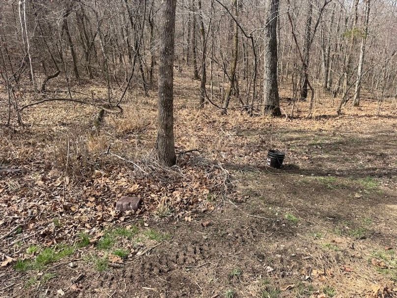 stone8020260306_0092