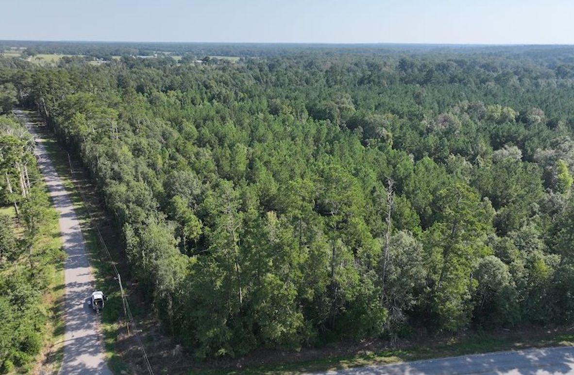 dji_fly_20250818_094726_0353_1755614662168_photo