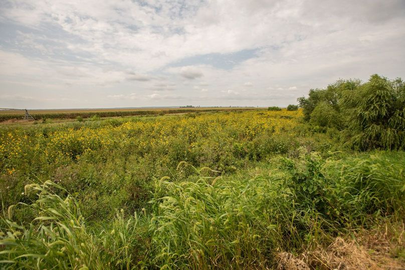 ATCHISON CO MO 31.47_10