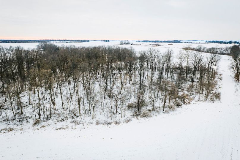 DJI_20260128165117_0585_D