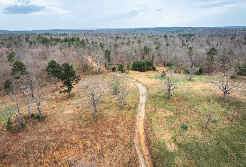 DJI_20250403123537_0588_D