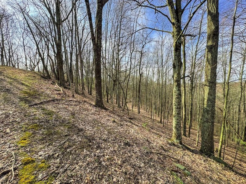 Ritchie, WV 206.08 AC Curriden-31
