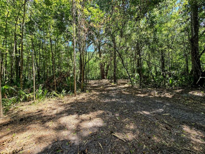 1.01ac, Citrus, Josiah Ronco21