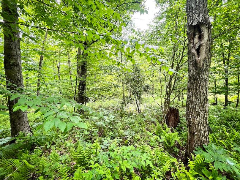 Tioga_31.4_Kemp_Photos_27