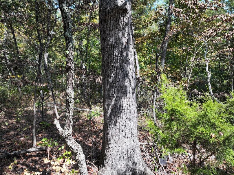 DJI_20250904124602_0584_D