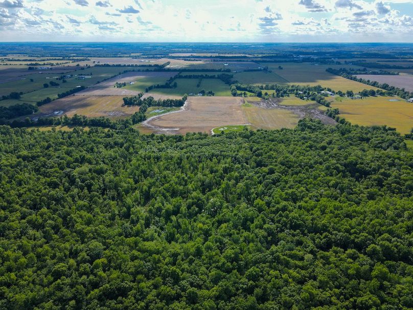 vandalia 450 (2)-3213