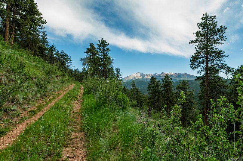 Teller CO 120 - 01 -  Upper Road