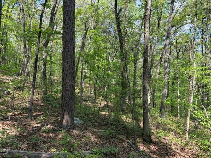 93BBF44B-E106-474E-A2D6-9AF0D8AB4EE9_1_105_c