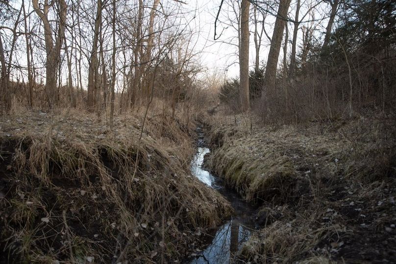 MONTGOMERY CO IA 156.78_53