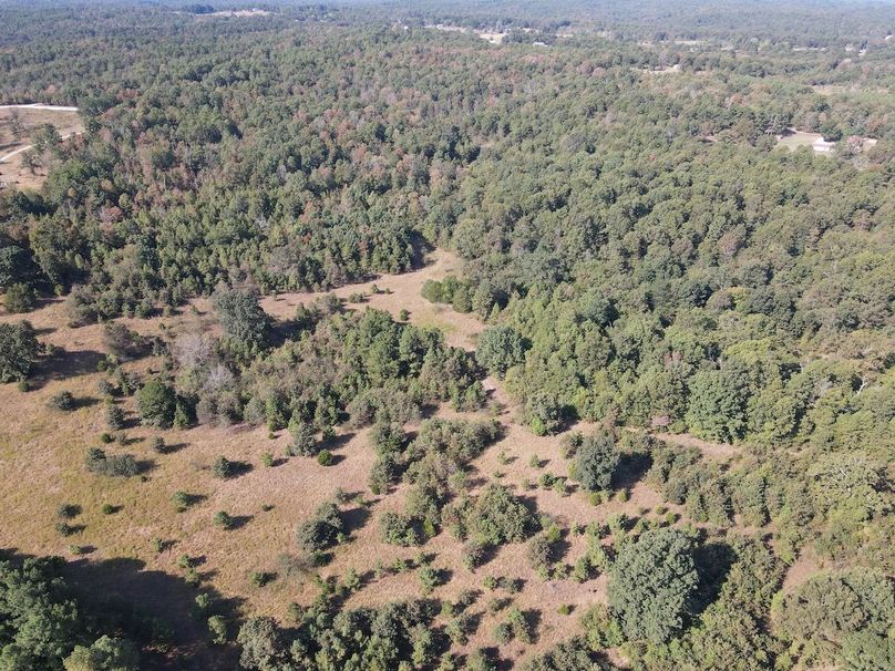 dji_fly_20250902_095530_730_1756825020082_photo