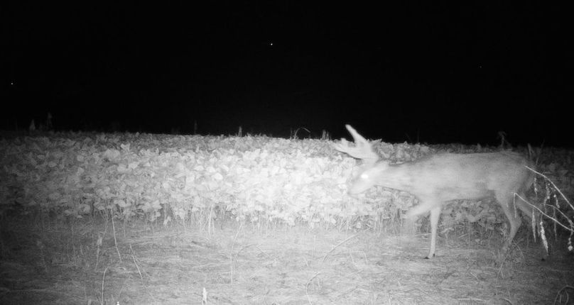 Copy of IMG_3207 Large