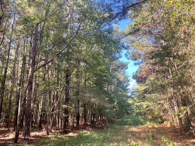 61B675C8-7311-456A-9E1B-7C42DA1A6A5A_1_105_c