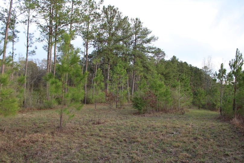 33CA8229-D572-4BF6-8FA5-04E44AF4E292_1_105_c