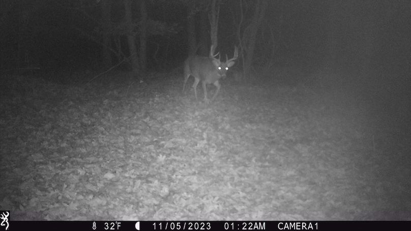Sauk 174 Trailcam - 29