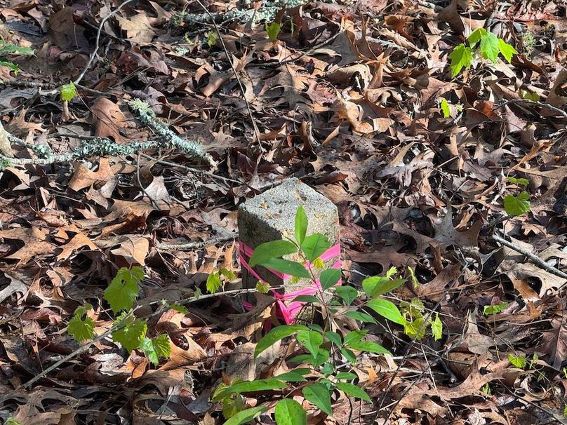 6Corner survey marker