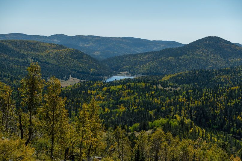 Teller Co 4.65 Thomas - 028 West Beaver Creek