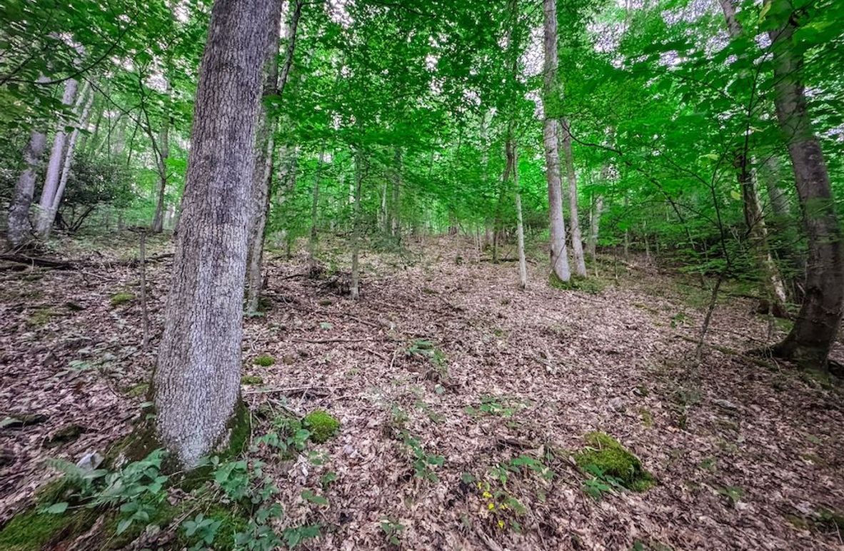 Webster, WV 42 AC Barger-07