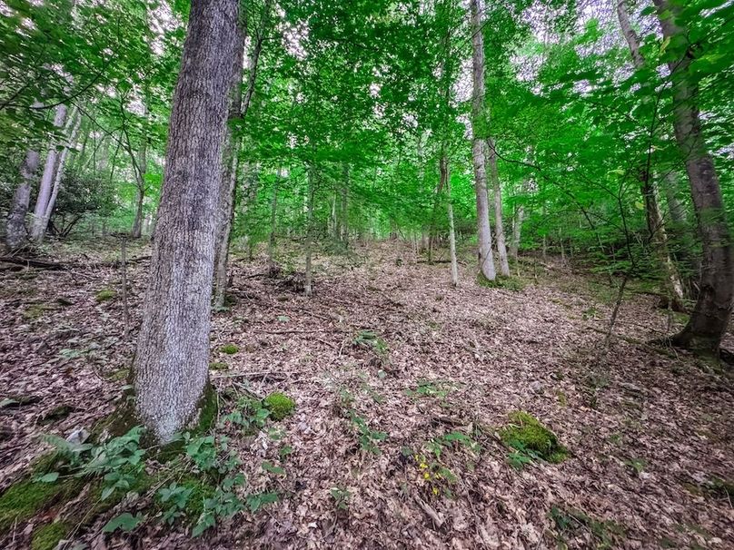 Webster, WV 42 AC Barger-07