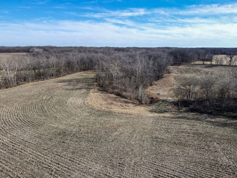 vandalia 450 (2)-2251