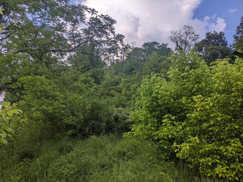 PXL_20230530_213407269