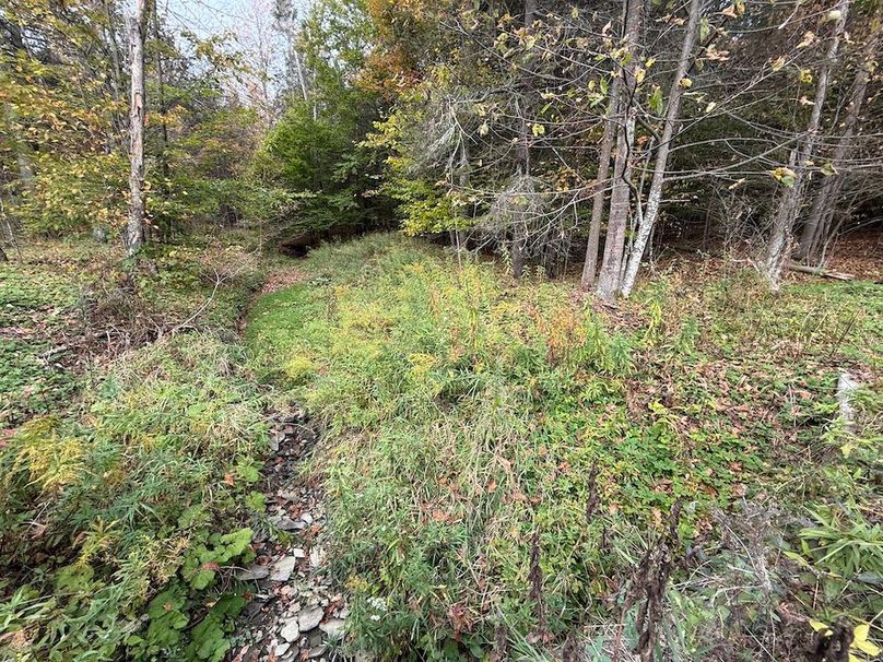 Chemung_184.12_Sterling 52