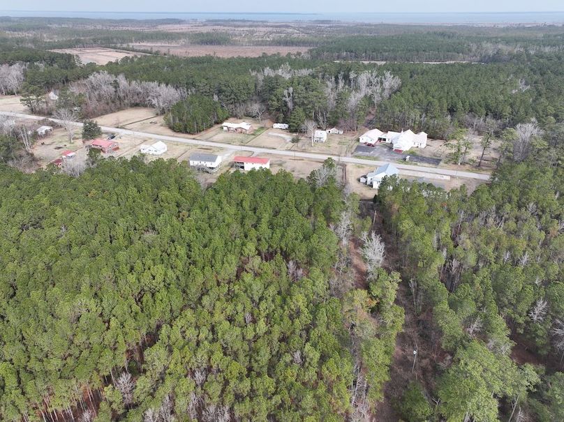 DJI_20260213105156_0484_D