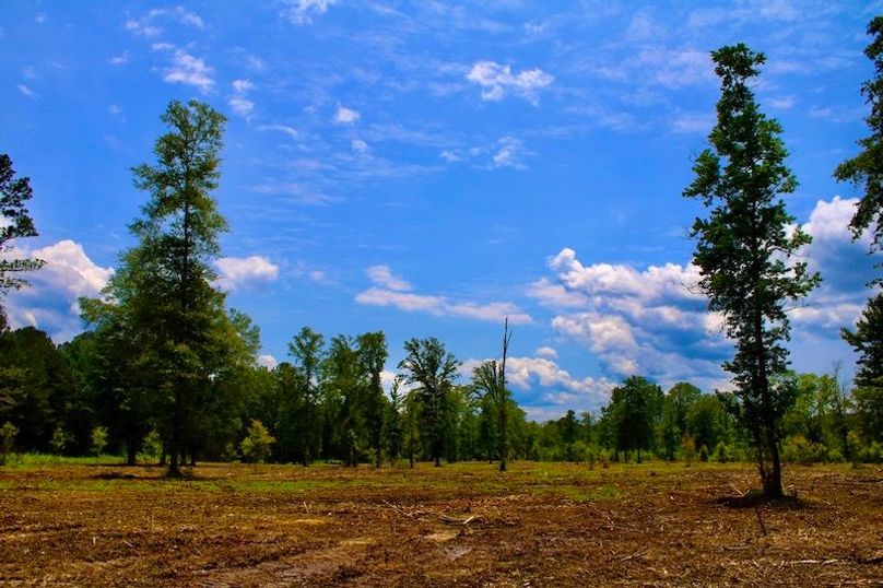 04CDA719-63D0-4436-9543-0ED872EB163E_1_105_c