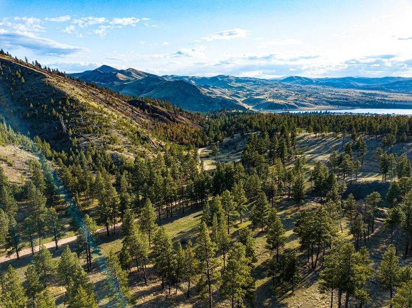 20250430-DJI_0019