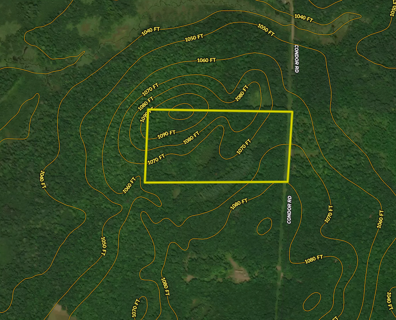 Screen Shot 2024-08-14 at 10.50.20 AM