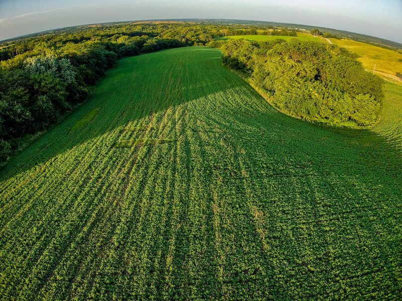 DJI_20250723195323_0384_D
