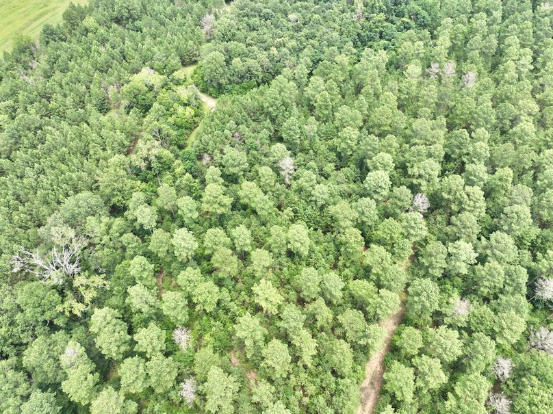 dji_fly_20230703_134152_348_1688406266554_photo