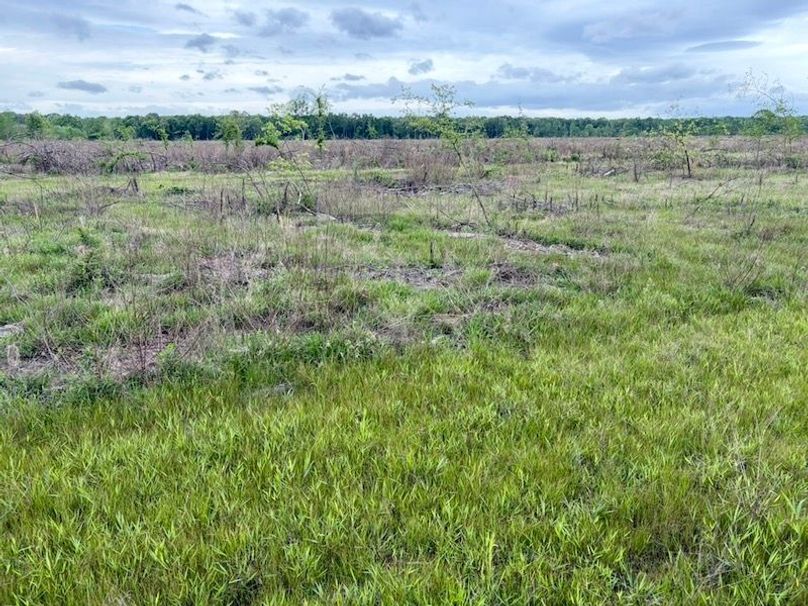 5D8A45F6-5AAF-4674-9766-E06E20808049_1_105_c