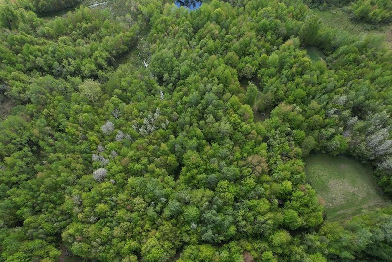 DJI_0094