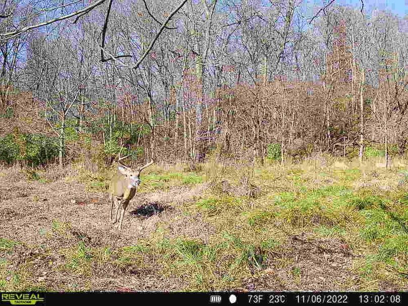 Copy of Trail photos.51