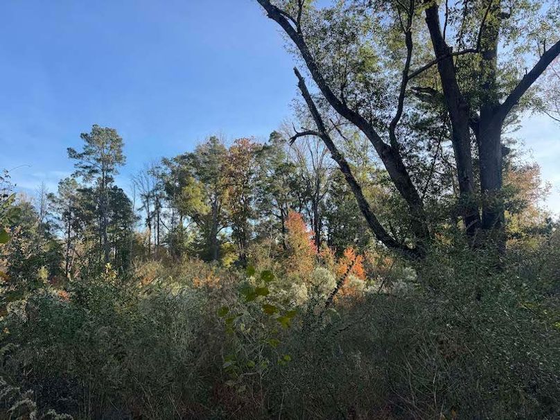 Jeff 11720251111_0196