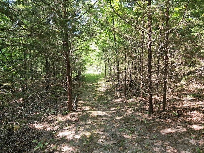 DJI_20240808_103643_141