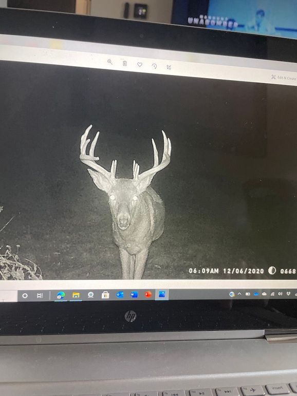 63078898884__749C2D51-859D-4B94-B011-8C5815FFD832