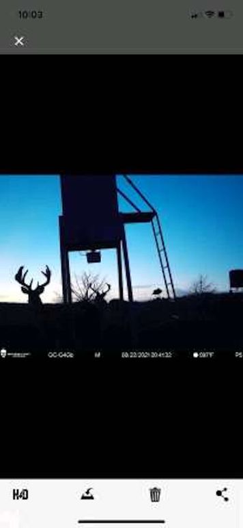 pulse-image-1658112855287