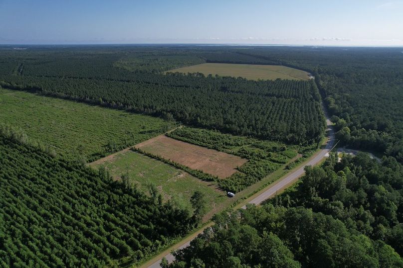 dji_fly_20250725_084312_904_1753448147761_photo