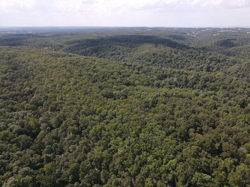 dji_fly_20250818_150828_667_1755547733664_photo