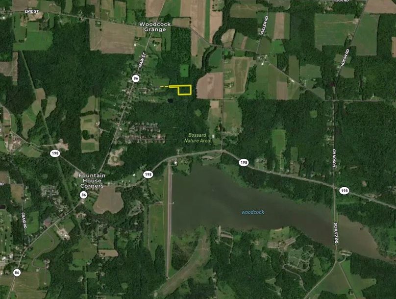 Screen Shot 2025-10-07 at 12.17.29 PM