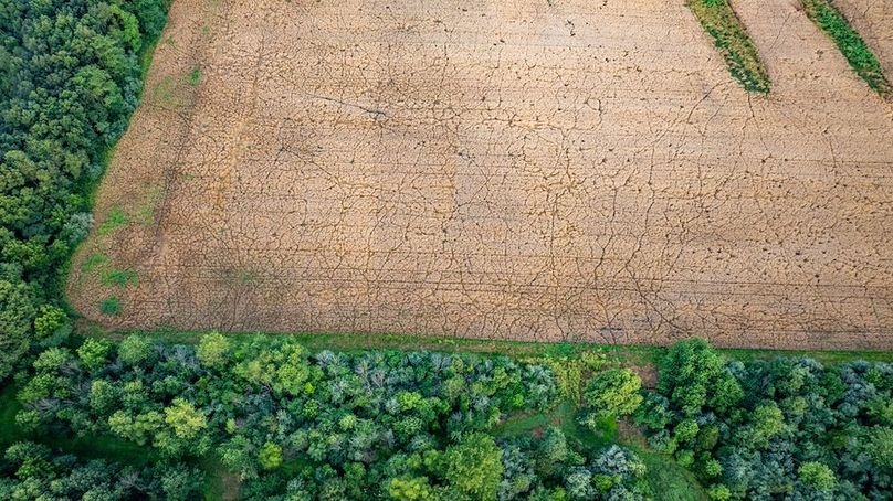 DJI_20250623165301_0021_D