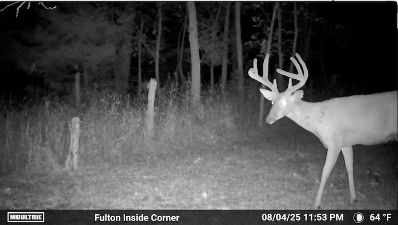 AScreen Shot 1 2025-08-20 at 10.30.17 PM