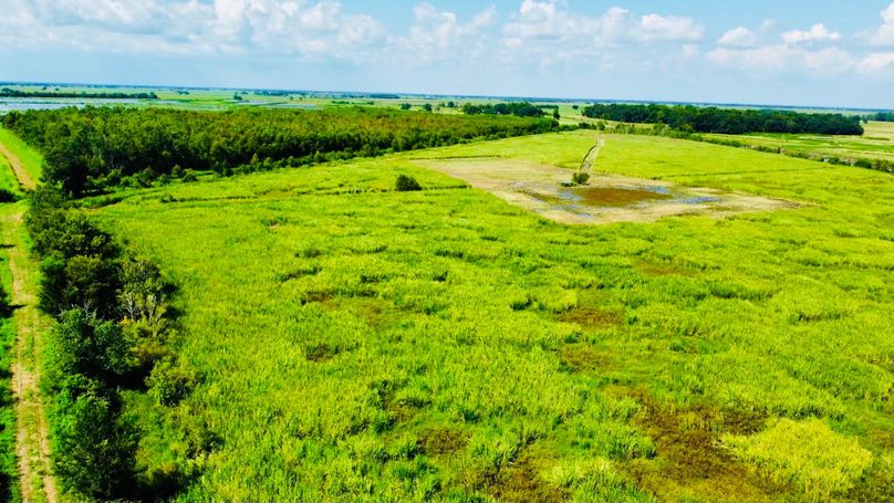 RemoteMediaFile_6553901_0_2022_09_02_15_23_38