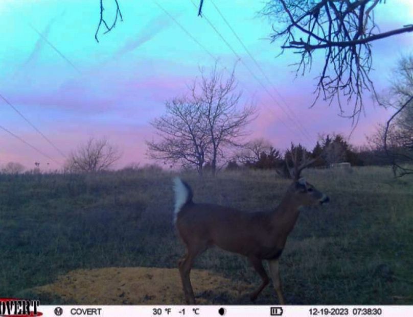 Screenshot_20231219_073938_CovertWireless