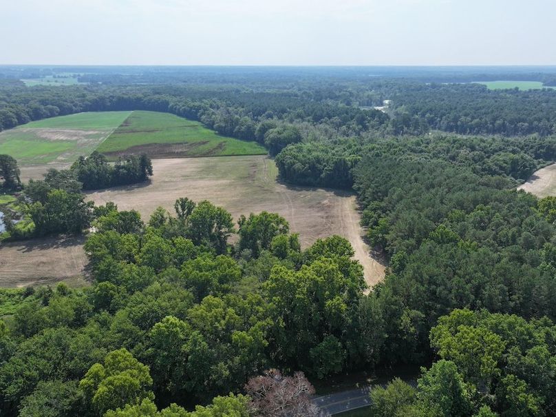 Copy of DJI_20240716105323_0023_D