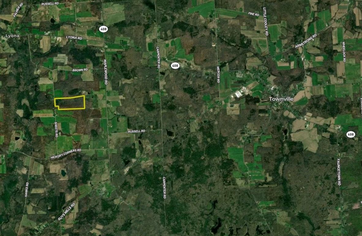 Screen Shot 2025-08-07 at 7.52.39 AM