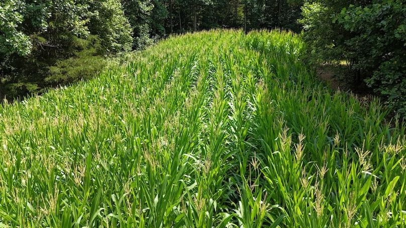 DJI_20250713152742_0577_D