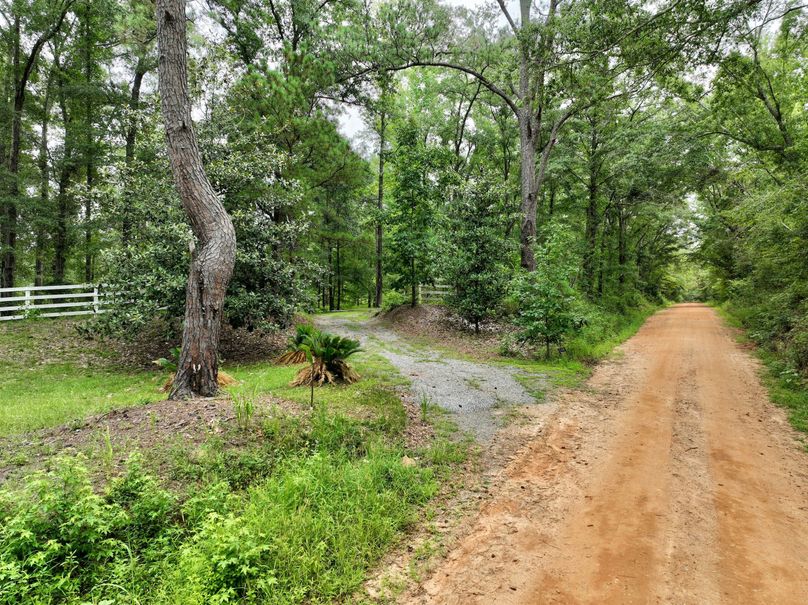 dji_fly_20230803_121456_464_1691080822394_photo