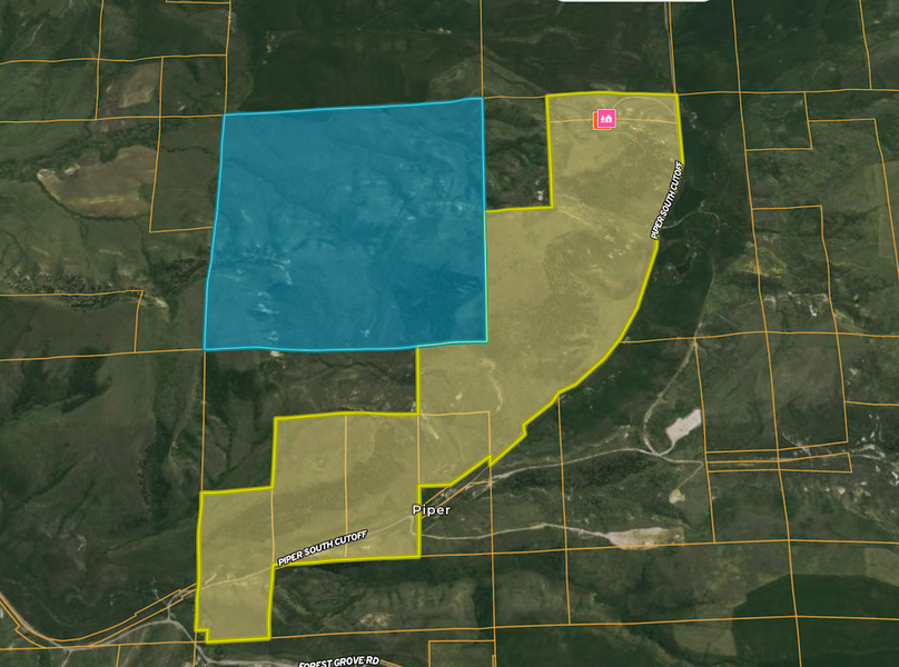 Screen Shot 2023-07-03 at 3.49.15 PM